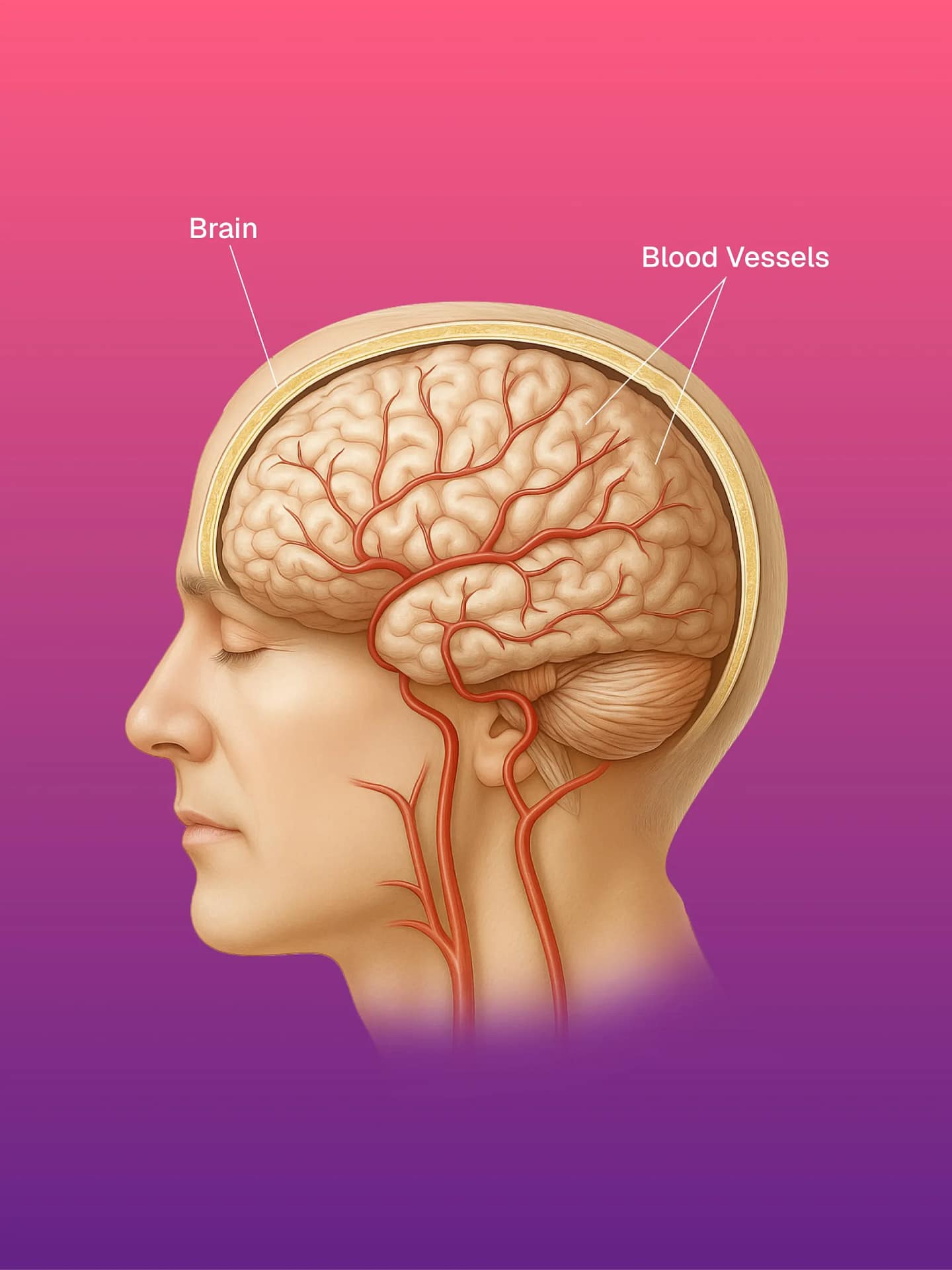 Diagnostic Cerebral and Spinal Angiography
